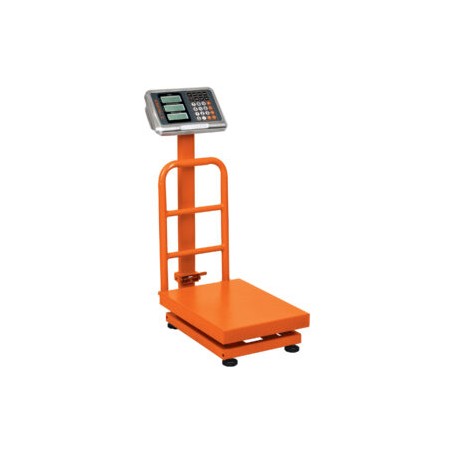 Báscula de plataforma, plegable, capacidad 100 kg