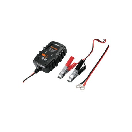 Cargador de 1 A para baterías de 6 y 12V